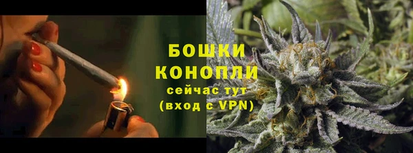 мдпв Михайлов