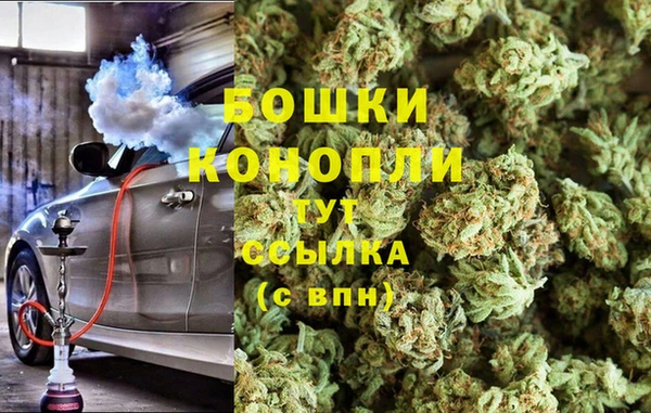 мдпв Михайлов