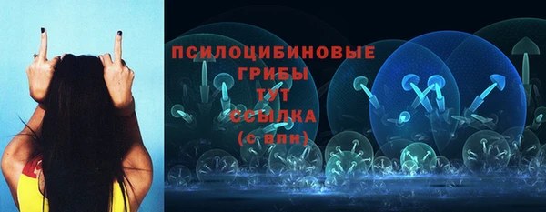 индика Михайловск
