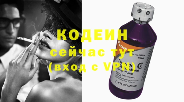 индика Михайловск