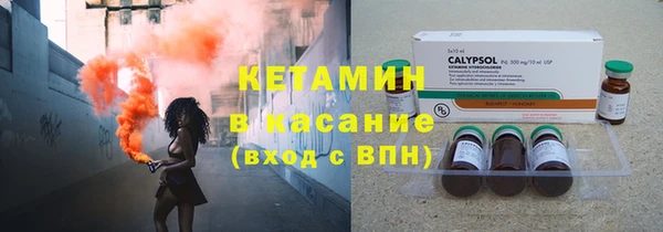 индика Михайловск