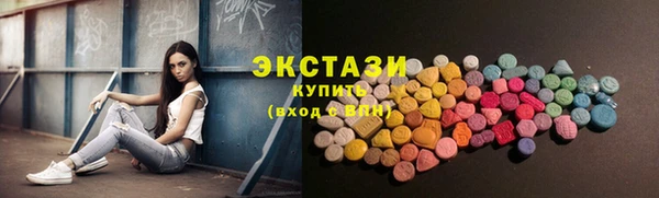 индика Михайловск