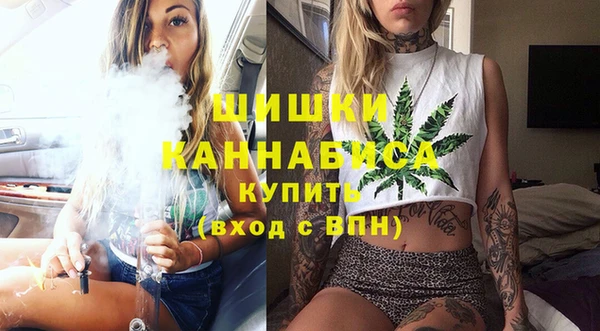 индика Михайловск