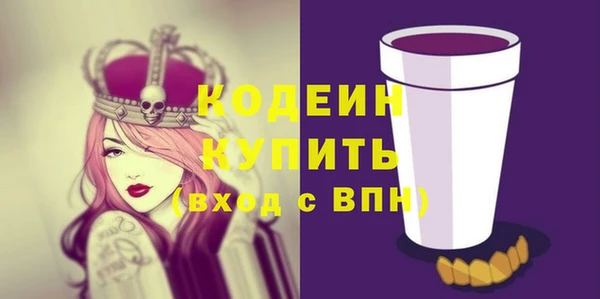 индика Михайловск