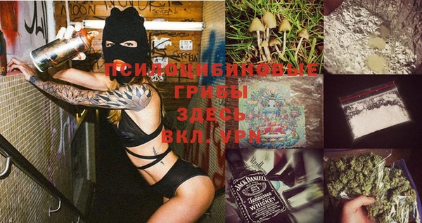 индика Михайловск