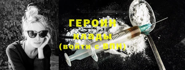 индика Михайловск
